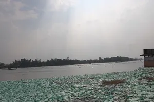 1 năm sau vụ sạt lở kinh hoàng ở Vàm Nao