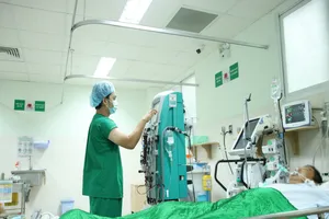 Định lấy mật, người đàn ông bị ong đốt 250 mũi đến mê sảng