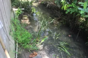 Thương tâm bé 13 tuổi bị điện giật tử vong dưới ao