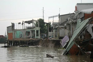 Cần Thơ: Nhiều người không còn nhà do sạt lở bờ sông