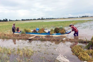 Đỉnh lũ năm 2018 ở Nam bộ tiềm ẩn nhiều nguy cơ