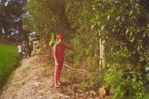 Hai thiếu nữ giết bạn trai ở bờ kênh, cướp xe