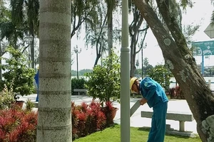 Cần Thơ sắp đón đợt triều cường rất cao