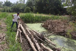 Từ chối quan hệ, nữ MC đám cưới bị sát hại dã man