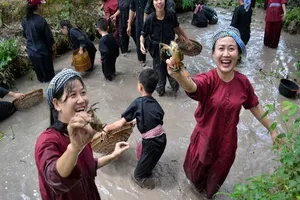 Về Miền Tây du xuân miệt vườn 