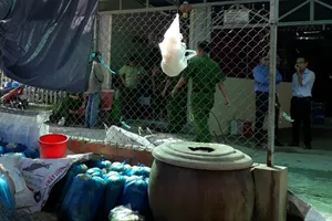 Ngăn kịp hơn 2 tấn dưa cải chứa chất vàng ô ra thị trường tết