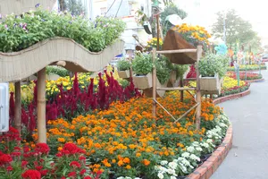 Về Cần Thơ du ngoạn đường hoa nghệ thuật