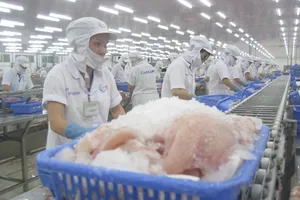 Cá Tra Việt Nam 'vượt rào' ngoạn mục