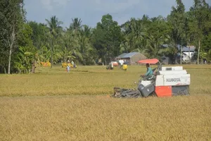 Bí thư Đồng Tháp hiến kế thoát khỏi 'lời nguyền' lúa gạo