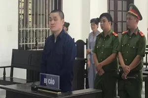 Giấu ma túy trên cây Lộc vừng