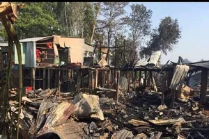 Cháy 13 căn nhà ở An Giang nghi do đốt đồng