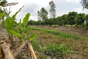 Đánh hàng xóm tử vong rồi ném xác xuống kênh phi tang