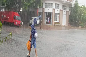 Cơn mưa “vàng” đã giải nhiệt cho người dân Cần Thơ