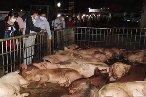 Ảnh minh họa trên Internet