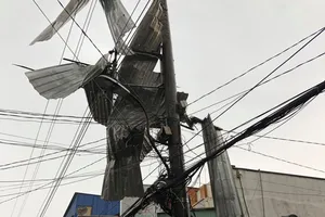 Sét đánh chết người chăn vịt ngoài đồng ở An Giang 