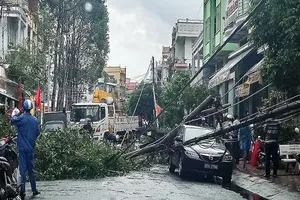 Cột điện gãy đè lên xe biển xanh đang đậu trên đường