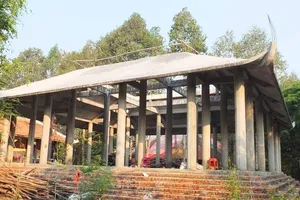 Một PGĐ sở ở Đồng Tháp bị tạm đình chỉ chức vụ để điều tra