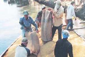 Nông trường Sông Hậu có 'chủ nhân' mới