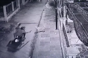 Ảnh cắt từ clip