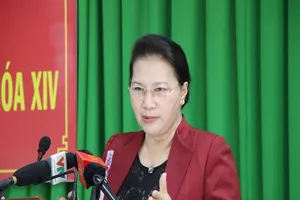 Cử tri mong sớm thực hiện chính thức chế định thừa phát lại