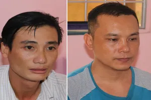 Anh vợ và em rể rủ nhau đi trộm mai 