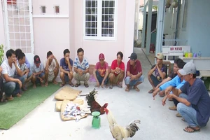 Bắt quả tang 21 đối tượng đá gà ăn tiền ngày giáp tết