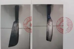 Ảo giác vì ma túy, nam thanh niên đi chém người 