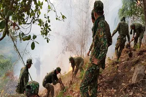 Cháy rừng dữ dội ở Núi Cấm 