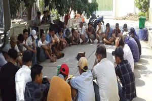 An Giang: Mật phục bắt 32 đối tượng đá gà ăn tiền