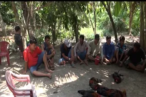 Vĩnh Long: Phá tụ điểm đá gà ở vườn măng cụt