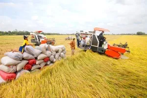 Vĩnh Long: Chi 400 tỉ đồng xây Bảo tàng nông nghiệp 