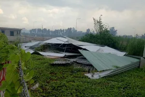 Bị phạt 9 tháng tù vì phá hủy nhà kho bỏ trống