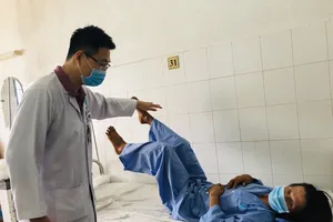 Té cây dừa từ độ cao 5 m, người đàn ông bị liệt chi