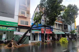 Cần Thơ: Thêm một người bị sét đánh tử vong khi làm đồng