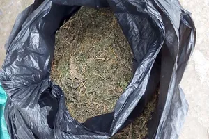 1 phụ nữ mua 4 kg cần sa từ Campuchia về Việt Nam bán