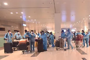 309 công dân Việt Nam từ Singapore nhập cảnh ở sân bay Cần Thơ