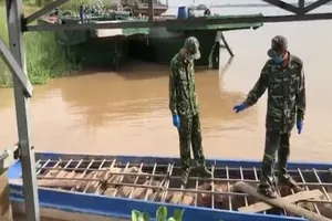 Bắt 6 tấn heo từ Campuchia nhập lậu vào Việt Nam