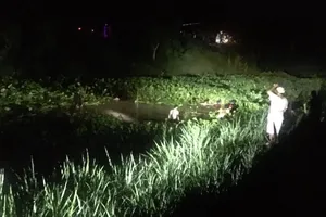 2 bé gái trượt chân, 1 cháu may mắn khi bám được lục bình