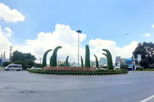 Đồng Tháp: Tự giảm giá thuê đất cho DN gây thất thu ngân sách