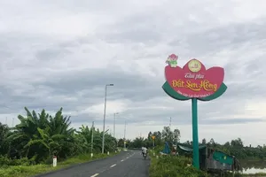 Đồng Tháp: Tình trạng san lấp đất nông nghiệp diễn ra phức tạp