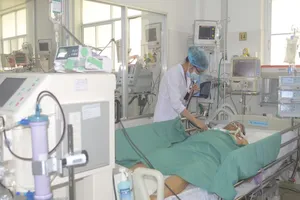 Đắp gừng mật ong chữa cua kẹp, nhiễm trùng huyết suýt chết