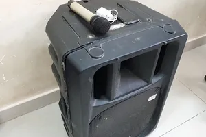 Ảnh minh họa loa kẹo kéo. Ảnh: NT