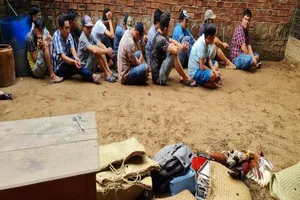 Cần Thơ: Triệt phá điểm đá gà hàng trăm triệu đồng