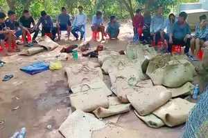 Vĩnh Long: Phá sới bạc trăm triệu