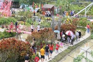 Khách du lịch tham quan ở Sa Đéc. Ảnh minh họa: HD