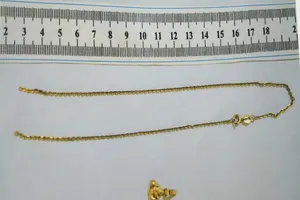 Tang vật vụ án. Ảnh: CACC