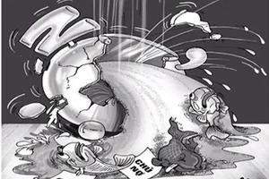 Ảnh minh họa. Ảnh: PLO