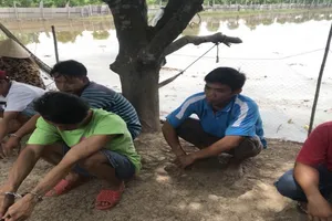 An Giang: Triệt xóa sới bạc hàng chục người ở giữa đồng