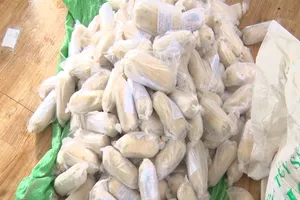 Phát hiện 3 tấn chả chay không đảm bảo an toàn thực phẩm