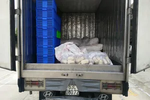 An Giang: Tạm giữ 1,5 tấn chả cá không rõ nguồn gốc